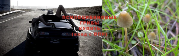 кокаин Арсеньев