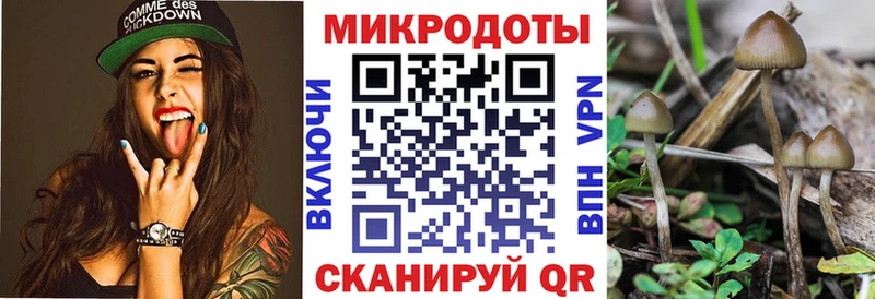 Галлюциногенные грибы ЛСД kraken зеркало Северо-Курильск